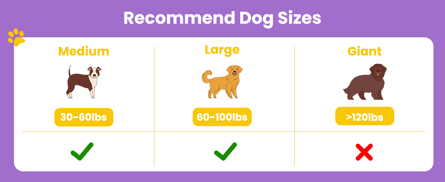 dog toys chewers large breed