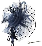 DRESHOW Fascinators Hat Flower Mesh Ribbons Feathers on a Headband and a Clip Tea Party Headwear ...