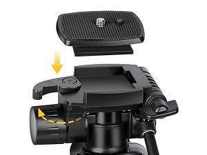 camera tripod
