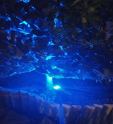 blue solar spot lights