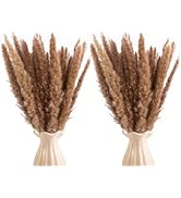 Uieke 120pcs Dried Brown Pampas Grass, 17" Natural Dried Flowers Arrangements Dried Reed Plumes f...