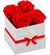 Forever Flowers Roses in A Box,Real Preserved Flowers,Preserved Roses,Preserved Flowers for Deliv...