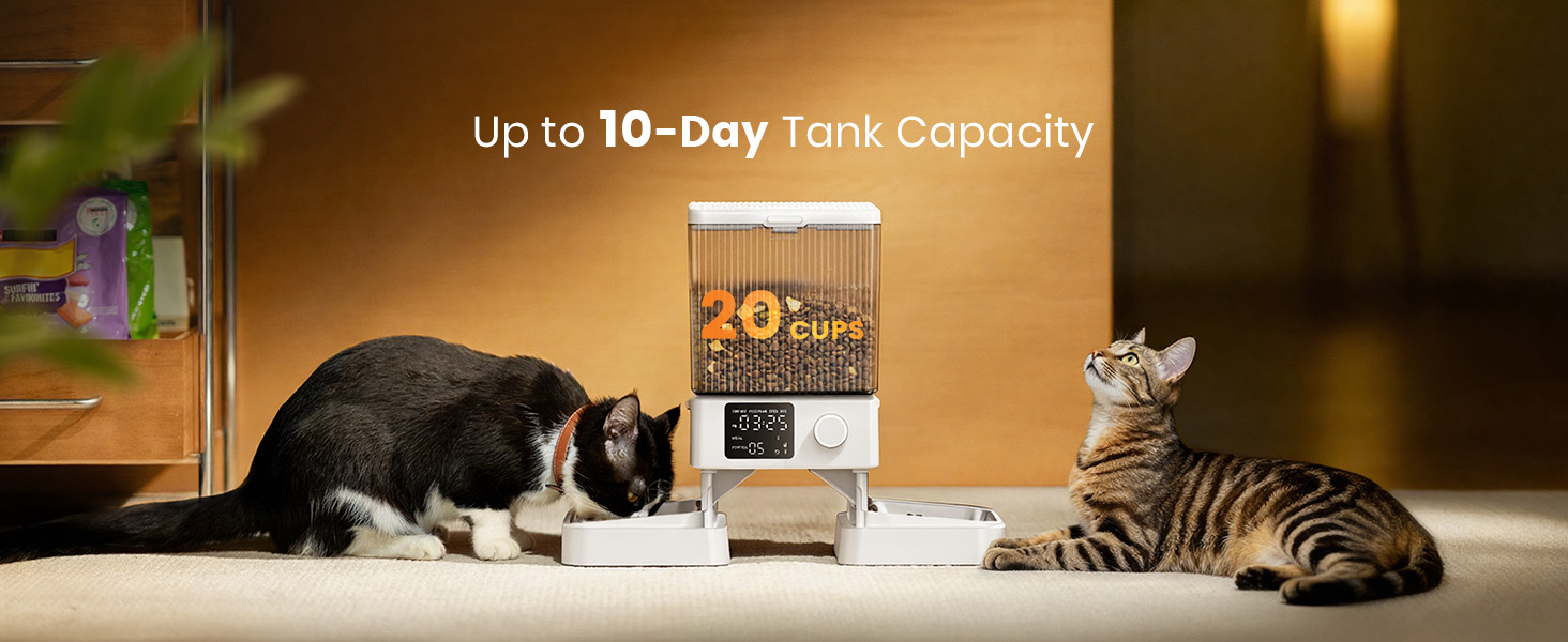 automatic cat feeder