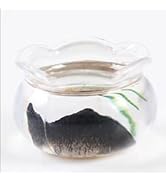 1Pcs Multicolour Mini Round Fish Tank Realistic Glass Decor for Dollhouse Display Captivating Min...