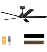 DAMINY 52 inch Black Ceiling Fans with Lights,5 Blades,6CCT, Low Profile,Remote Control,for Bedro...