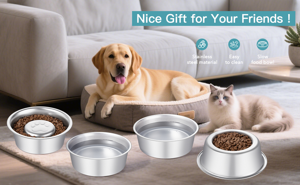 Indoor pet slow food bowl