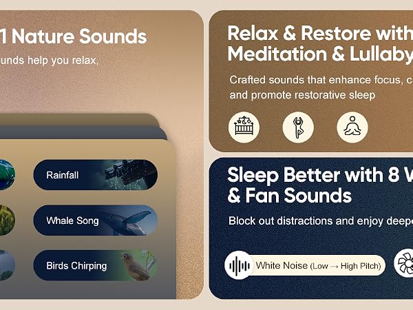 25 Curated Soundscapes?