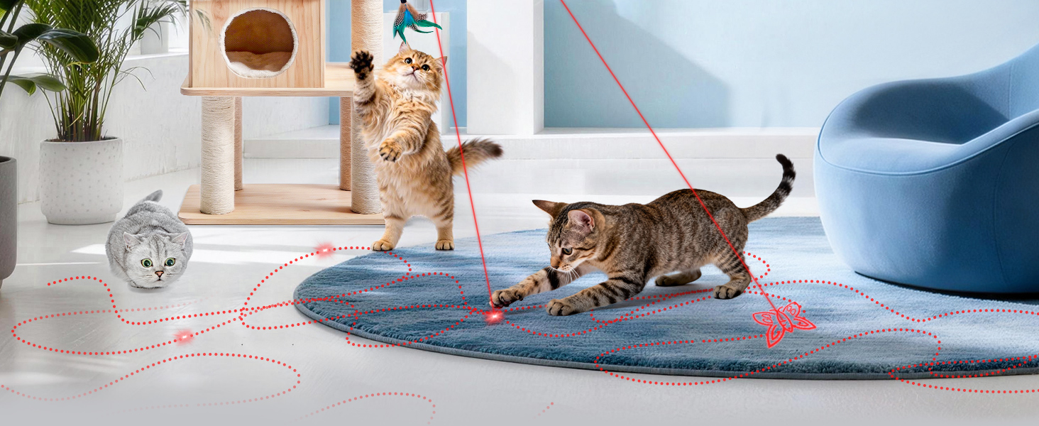 kitten toys