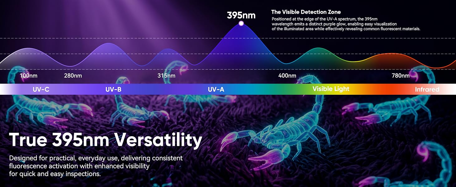 uv flashlight rechargeable