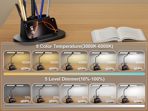 college-student-study-lamp