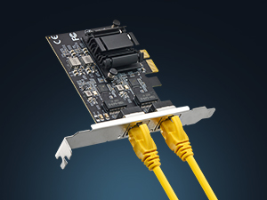 2-Port 2.5G Network Adapter
