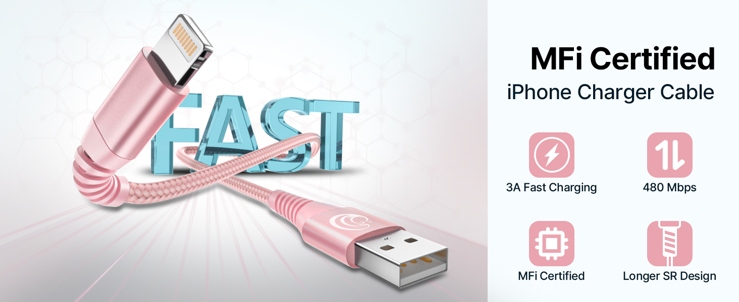 iPhone cable