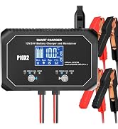2-Bank 20A(10A/Bank) Car Battery Charger, 12V 24V Automatic Automotive Charger, Battery Maintaine...