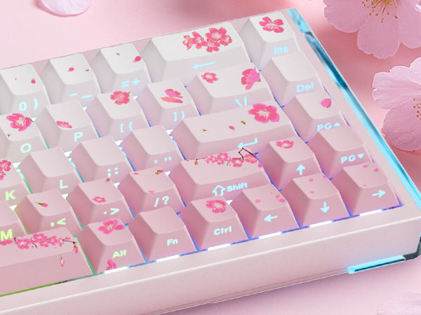 PBT KEYCAPS