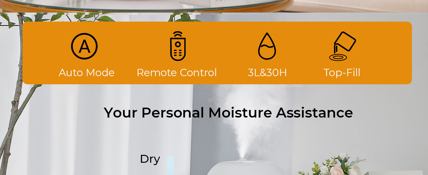 auto mode & remote & 3L & top fill