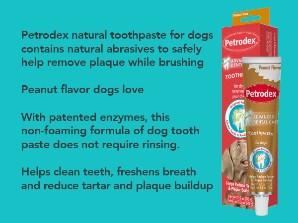 Advanced dental care toothpaste for dogs