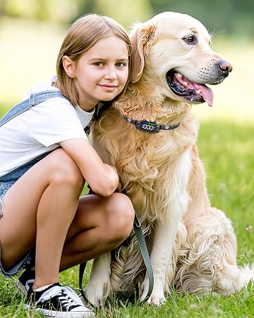 Veconix dog collar