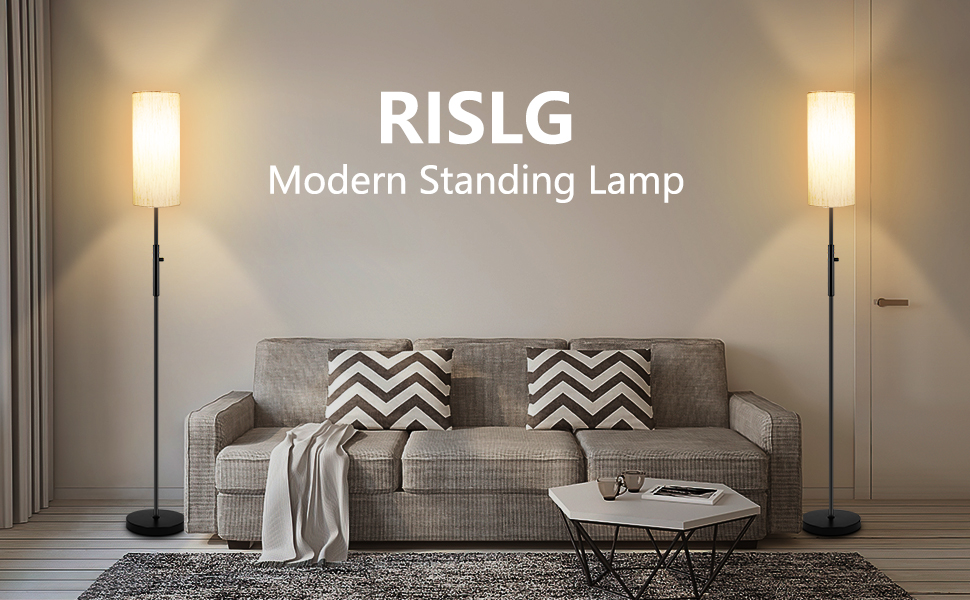 Modern Floor Lamp