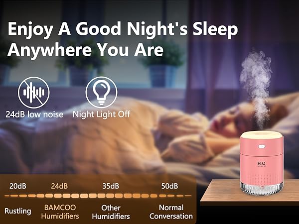 plant humidifier indoor