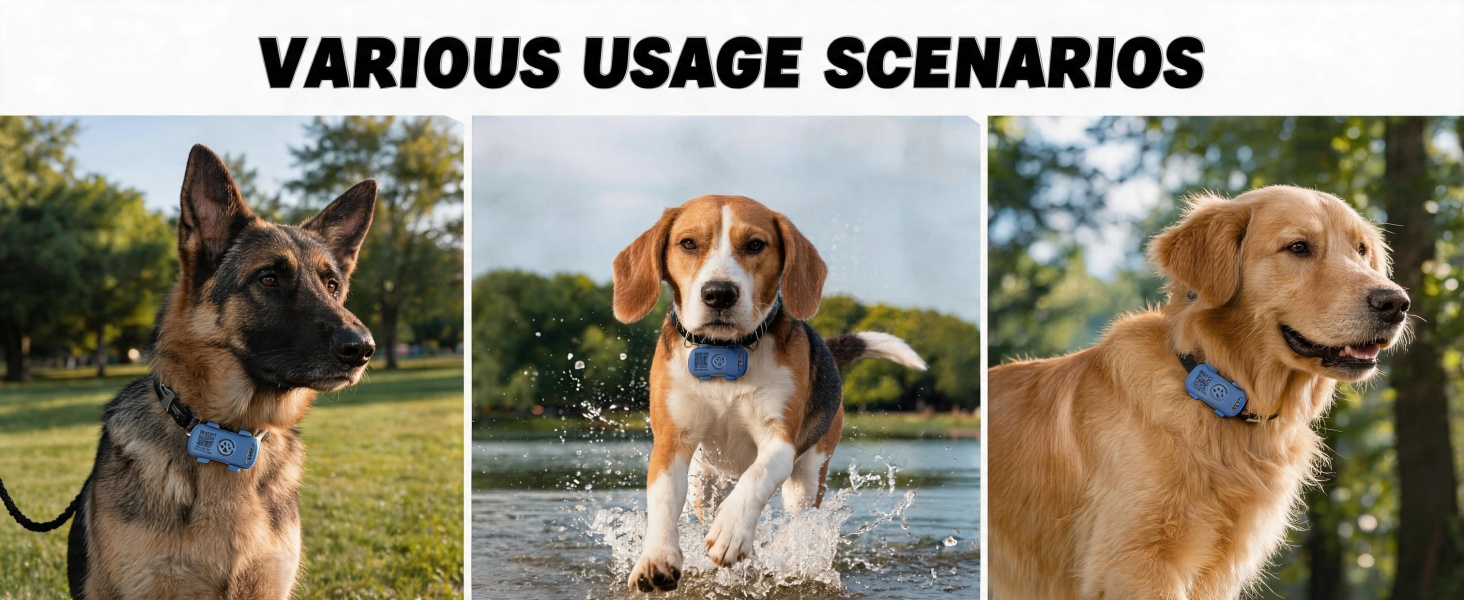 tracker for dogs6