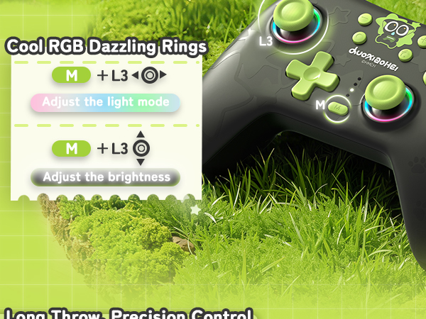 Text reads 'Cool RGB Dazzling Rings' 'Loop Throw Catching Contest!' Screenshots of game interface showing green grass background with glowing ring elements.
