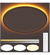 UprizeP Flush Mount Ceiling Light with Night Light, 19in LED Ceiling Lights with Remote Control, ...
