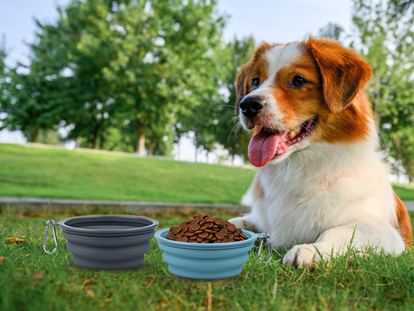 travel dog bowls portable dog water bowl