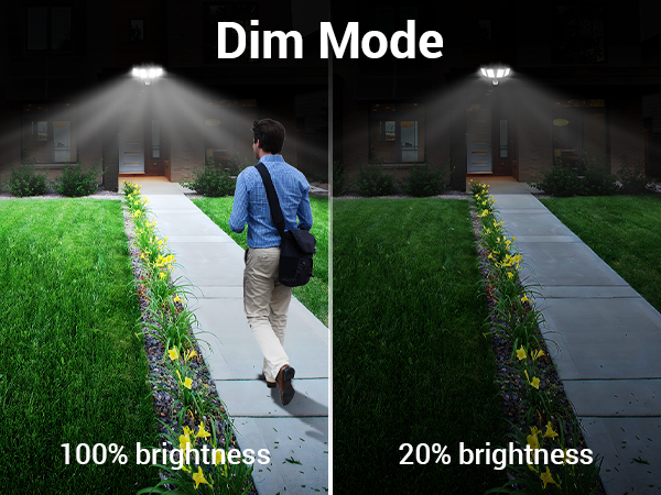 led flood light
