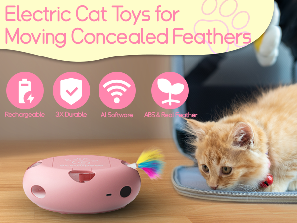 interactive cat toys