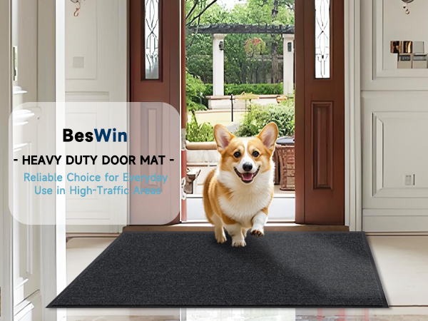 Indoor Outdoor Door Mat