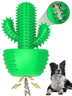 dog teeth cleaning toothbrush chew toy dental care
