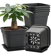 8'' Square Planters with Trays - 6 Pack Heavy Duty Plastic Plant Pots, 24 Strip Drainage Holes fo...