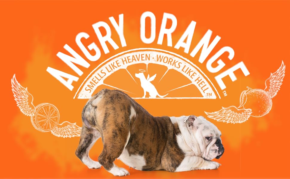 Angry Orange - smells like heaven, works like hell