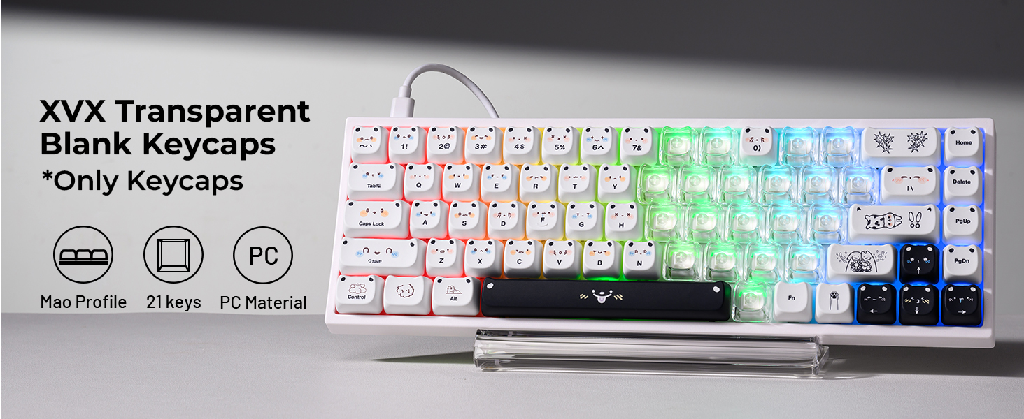 transparent keycaps