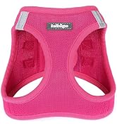 rabbitgoo Small Dog Harness, Step-in Soft Mesh Puppy Vest, Easy Walk with Safety Buckle, Breathab...