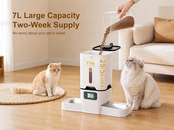 automatic cat feeder for multiple cats