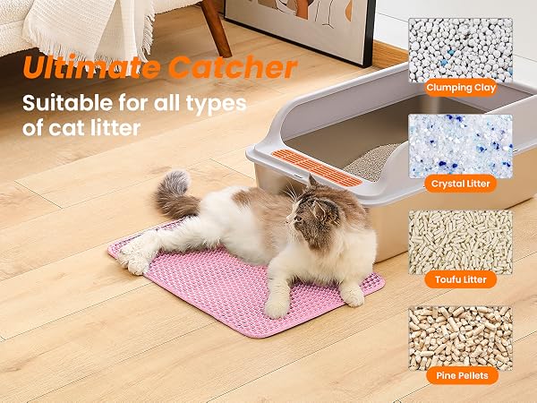 automatic cat litter box