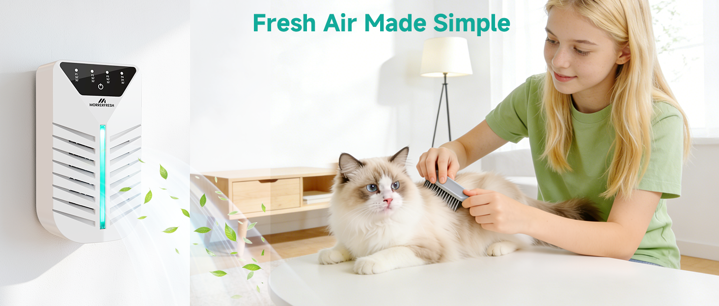 plug in air purifier