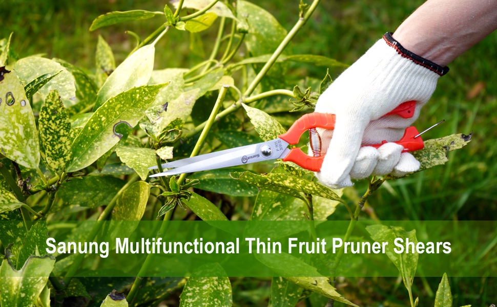 Sanung Multifunctional Thin Fruit Pruner Shears