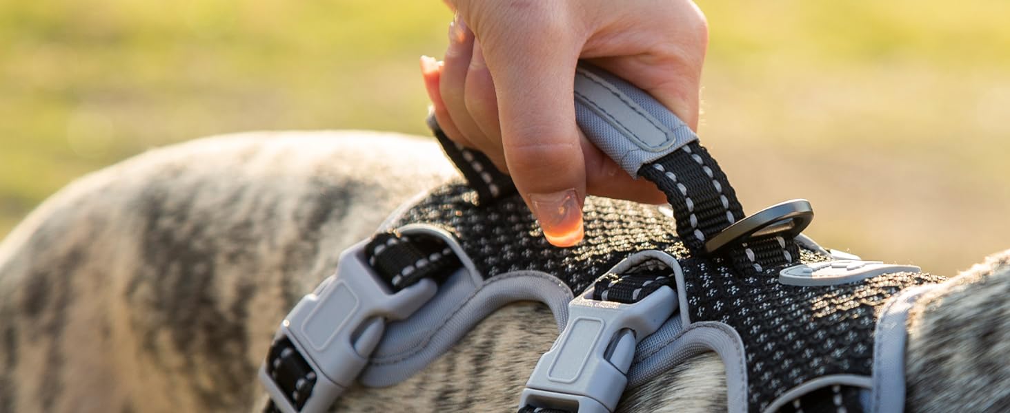 no escape dog harness