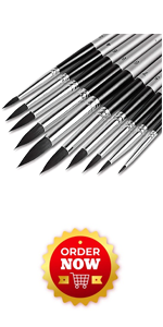 https://m.media-amazon.com/images/S/aplus-media-library-service-media/0be77951-d007-457c-963b-2d520eac40f6.__CR0,0,150,300_PT0_SX150_V1___.png
