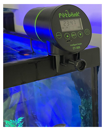 automatic fish feeder for aquarium