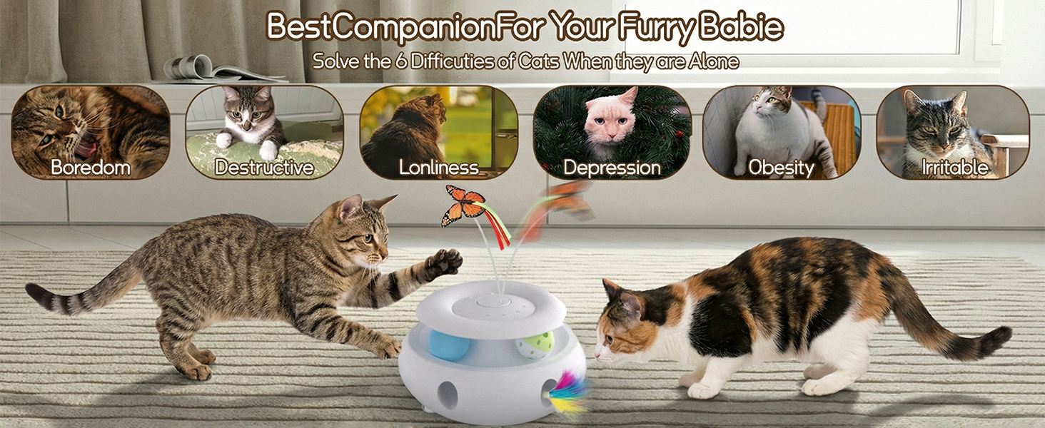 cat toy
