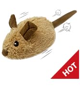 automatic moving mouse