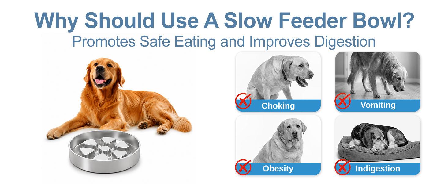dog slow feed bowl