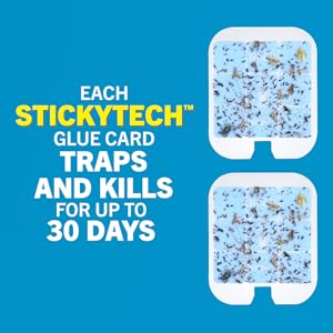 safer home stickytech glue cards trap and kill insects for up to 30 days