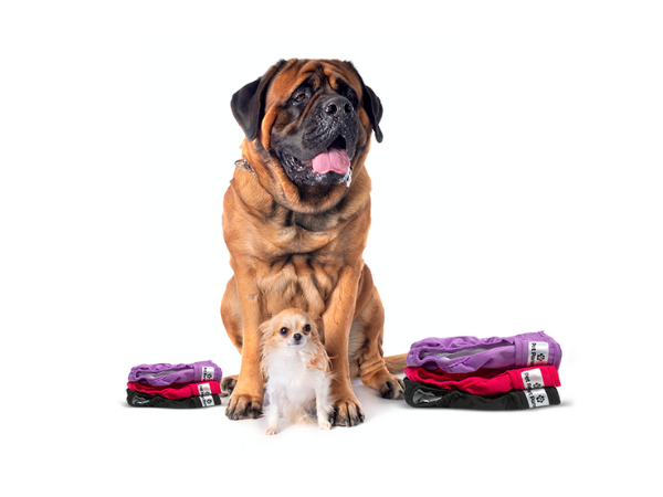 premium washable reusable dog diapers male, female dog diapers, doggie diapers, puppy diapers