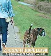 rope dog leash