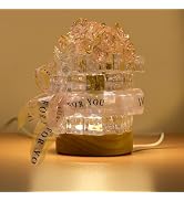 DIY Ice Cube Rose Light LED Night Light Kit, 3 Speed Dimming Bedside Lamp with USB Cable and Swit...