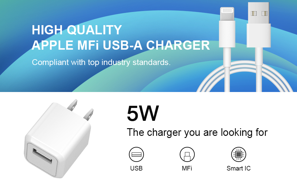 5w iphone charger